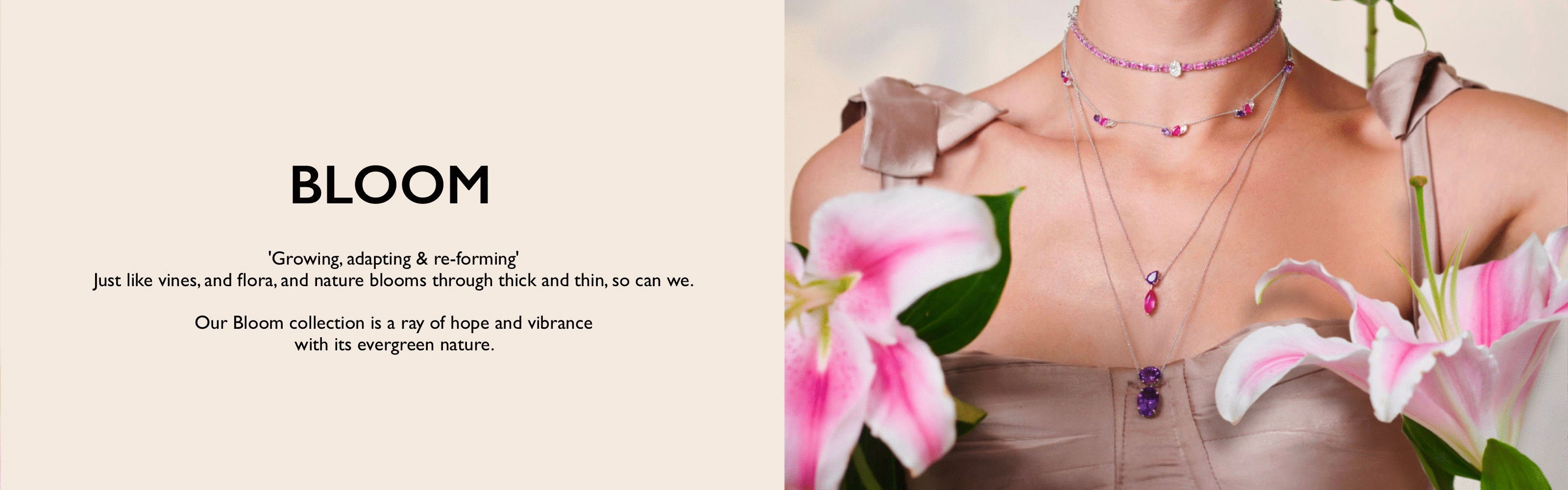 Bloom banner