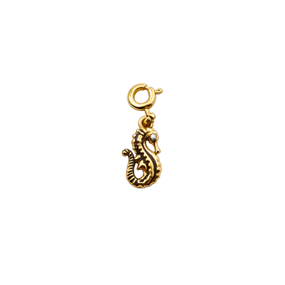 Seahorse Evermore Charm